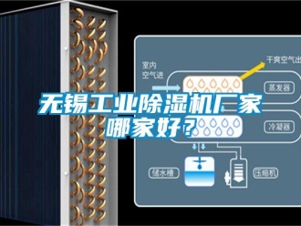知識(shí)百科無錫工業(yè)除濕機(jī)廠家哪家好？