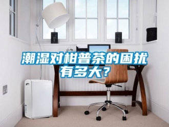 企業(yè)新聞潮濕對柑普茶的困擾有多大？