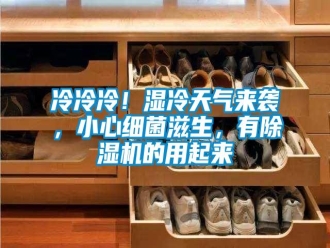 行業(yè)新聞冷冷冷！濕冷天氣來襲，小心細菌滋生，有除濕機的用起來