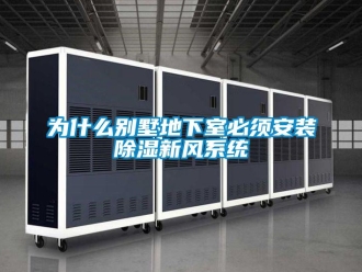 行業(yè)新聞為什么別墅地下室必須安裝除濕新風(fēng)系統(tǒng)