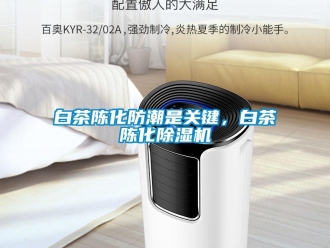 常見問題白茶陳化防潮是關(guān)鍵，白茶陳化除濕機(jī)