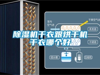 企業(yè)新聞除濕機干衣跟烘干機干衣哪個好