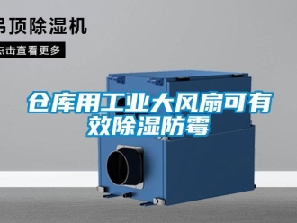企業(yè)新聞倉(cāng)庫(kù)用工業(yè)大風(fēng)扇可有效除濕防霉