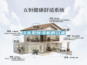 行業(yè)新聞冷凍型除濕機的分類