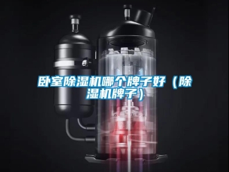 行業(yè)新聞臥室除濕機哪個牌子好（除濕機牌子）