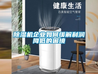 常見(jiàn)問(wèn)題除濕機(jī)企業(yè)如何緩解利潤(rùn)降低的困境