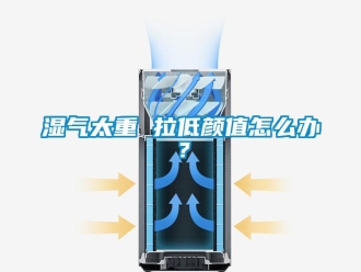 常見問題濕氣太重 拉低顏值怎么辦？
