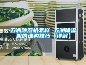 行業(yè)新聞五洲除濕機(jī)怎樣 五洲除濕機(jī)的選購技巧【詳解】