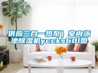 行業(yè)新聞供應(yīng)三合一熱泵）室內(nèi)泳池除濕機(jī)yccks60l圖