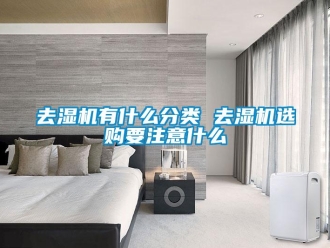 行業(yè)新聞去濕機有什么分類 去濕機選購要注意什么