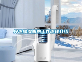 行業(yè)新聞冷凍除濕機(jī)的工作原理介紹