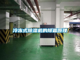 行業(yè)新聞冷凍式除濕機的除霜原理