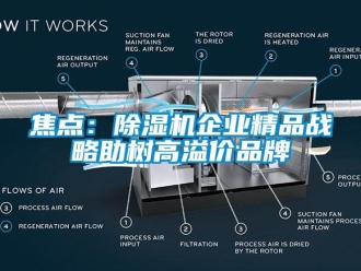 行業(yè)新聞焦點：除濕機(jī)企業(yè)精品戰(zhàn)略助樹高溢價品牌