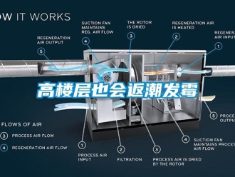 企業(yè)新聞高樓層也會(huì)返潮發(fā)霉