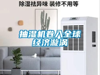 企業(yè)新聞抽濕機(jī)卷入全球經(jīng)濟(jì)漩渦