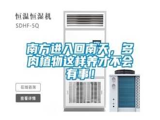 行業(yè)新聞南方進入回南天，多肉植物這樣養(yǎng)才不會有事！