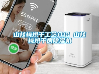 知識(shí)百科山核桃烘干工藝介紹 山核桃烘干房除濕機(jī)