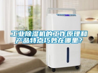企業(yè)新聞工業(yè)除濕機(jī)的工作原理和產(chǎn)品特點(diǎn)巧妙在哪里？