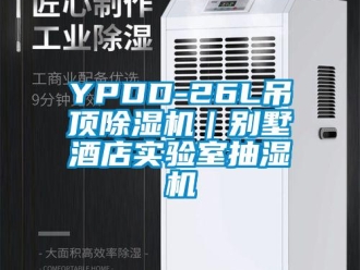 企業(yè)新聞YPDD-26L吊頂除濕機｜別墅酒店實驗室抽濕機