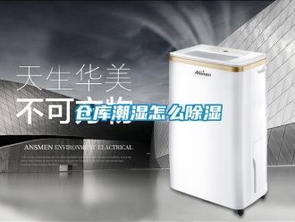 企業(yè)新聞倉(cāng)庫(kù)潮濕怎么除濕