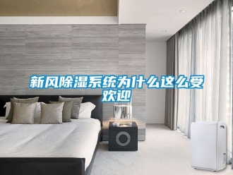 知識百科新風(fēng)除濕系統(tǒng)為什么這么受歡迎