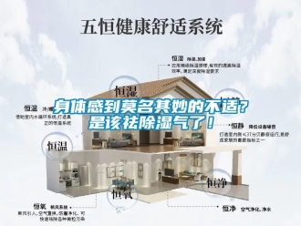 知識百科身體感到莫名其妙的不適？是該祛除濕氣了！