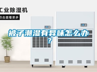 常見問題被子潮濕有異味怎么辦？