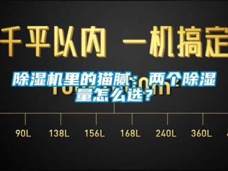 常見問題除濕機(jī)里的貓膩：兩個(gè)除濕量怎么選？