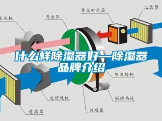 行業(yè)新聞什么樣除濕器好—除濕器品牌介紹