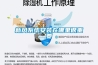 新風系統(tǒng)安裝在哪里很重要