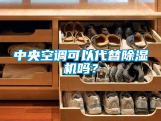 行業(yè)新聞中央空調(diào)可以代替除濕機(jī)嗎？