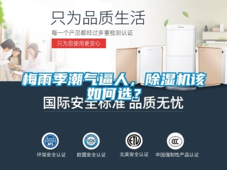 常見問題梅雨季潮氣逼人，除濕機該如何選？