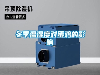 企業(yè)新聞冬季溫濕度對蛋雞的影響