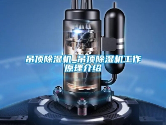 行業(yè)新聞吊頂除濕機(jī)_吊頂除濕機(jī)工作原理介紹