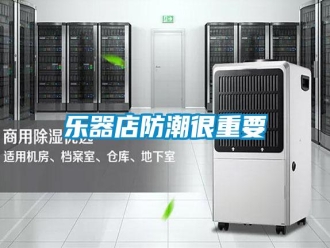 行業(yè)新聞樂器店防潮很重要