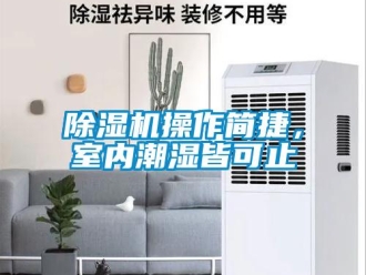 企業(yè)新聞除濕機(jī)操作簡捷，室內(nèi)潮濕皆可止
