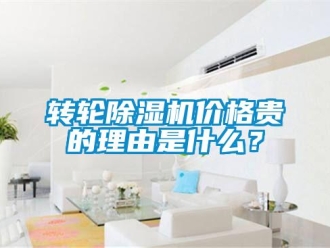 知識百科轉(zhuǎn)輪除濕機(jī)價(jià)格貴的理由是什么？