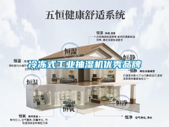 企業(yè)新聞冷凍式工業(yè)抽濕機(jī)優(yōu)秀品牌