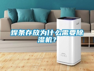 行業(yè)新聞焊條存放為什么需要除濕機(jī)？