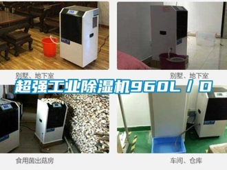 企業(yè)新聞超強工業(yè)除濕機960L／D