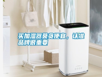 行業(yè)新聞買加濕器莫貪便宜，認準品牌很重要