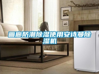 企業(yè)新聞畫(huà)廊防潮除濕使用安詩(shī)曼除濕機(jī)
