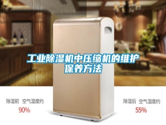 企業(yè)新聞工業(yè)除濕機(jī)中壓縮機(jī)的維護(hù)保養(yǎng)方法