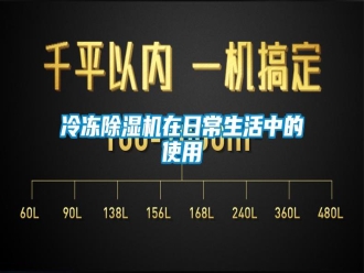 行業(yè)新聞冷凍除濕機在日常生活中的使用