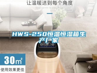 常見問題HWS-250恒溫恒濕箱生產(chǎn)廠家