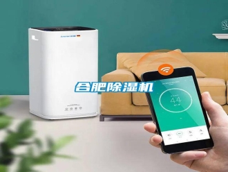 行業(yè)新聞合肥除濕機