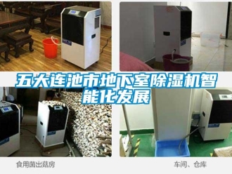 行業(yè)新聞五大連池市地下室除濕機(jī)智能化發(fā)展