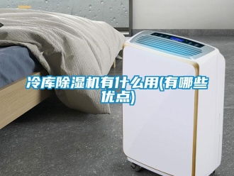 行業(yè)新聞冷庫除濕機有什么用(有哪些優(yōu)點)