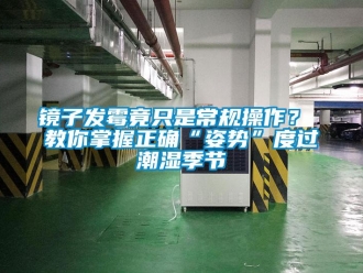 行業(yè)新聞鏡子發(fā)霉竟只是常規(guī)操作？ 教你掌握正確“姿勢(shì)”度過(guò)潮濕季節(jié)