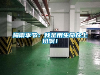 行業(yè)新聞梅雨季節(jié)：我是用生命在上班??！